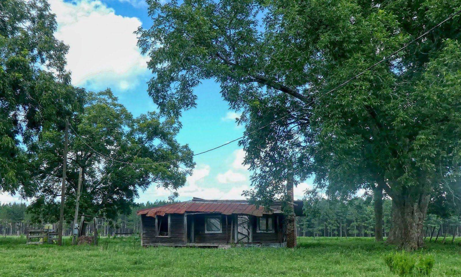 Wayne County Homestead