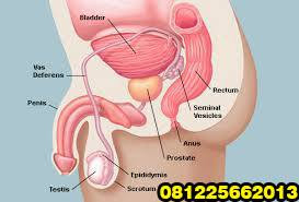 makanan penyebab prostat usia muda apakah berbahaya dan harus di operasi