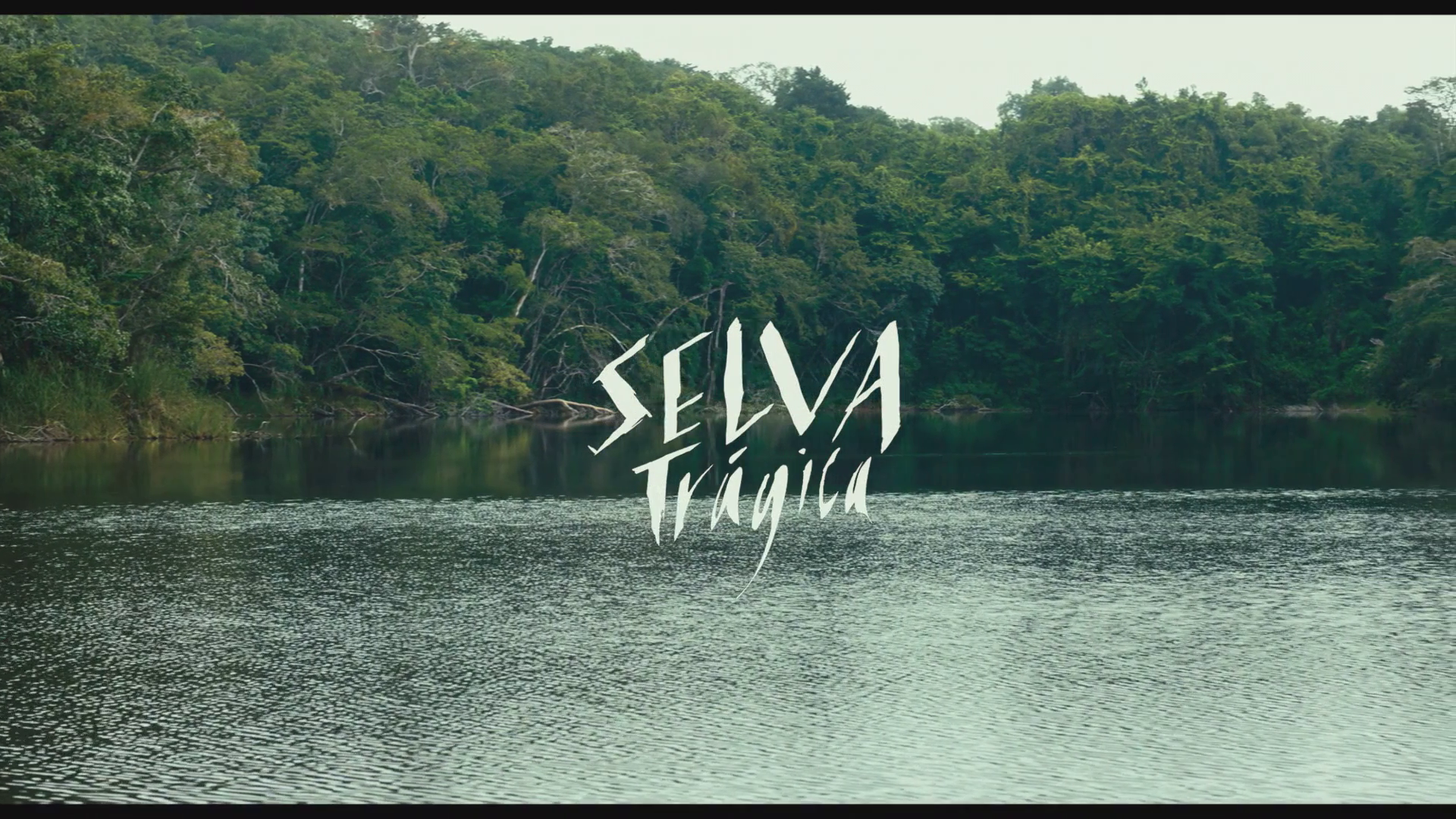 Selva trágica (2021) 1080p WEB-DL Latino