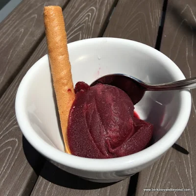 blackberry sorbet at Bella Siena restaurant in Benicia, California