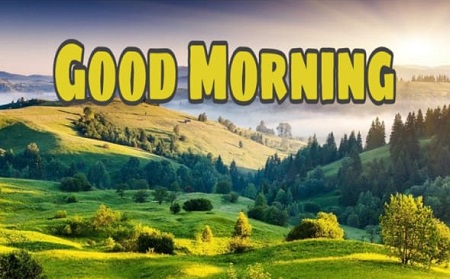Good Morning Good Morning