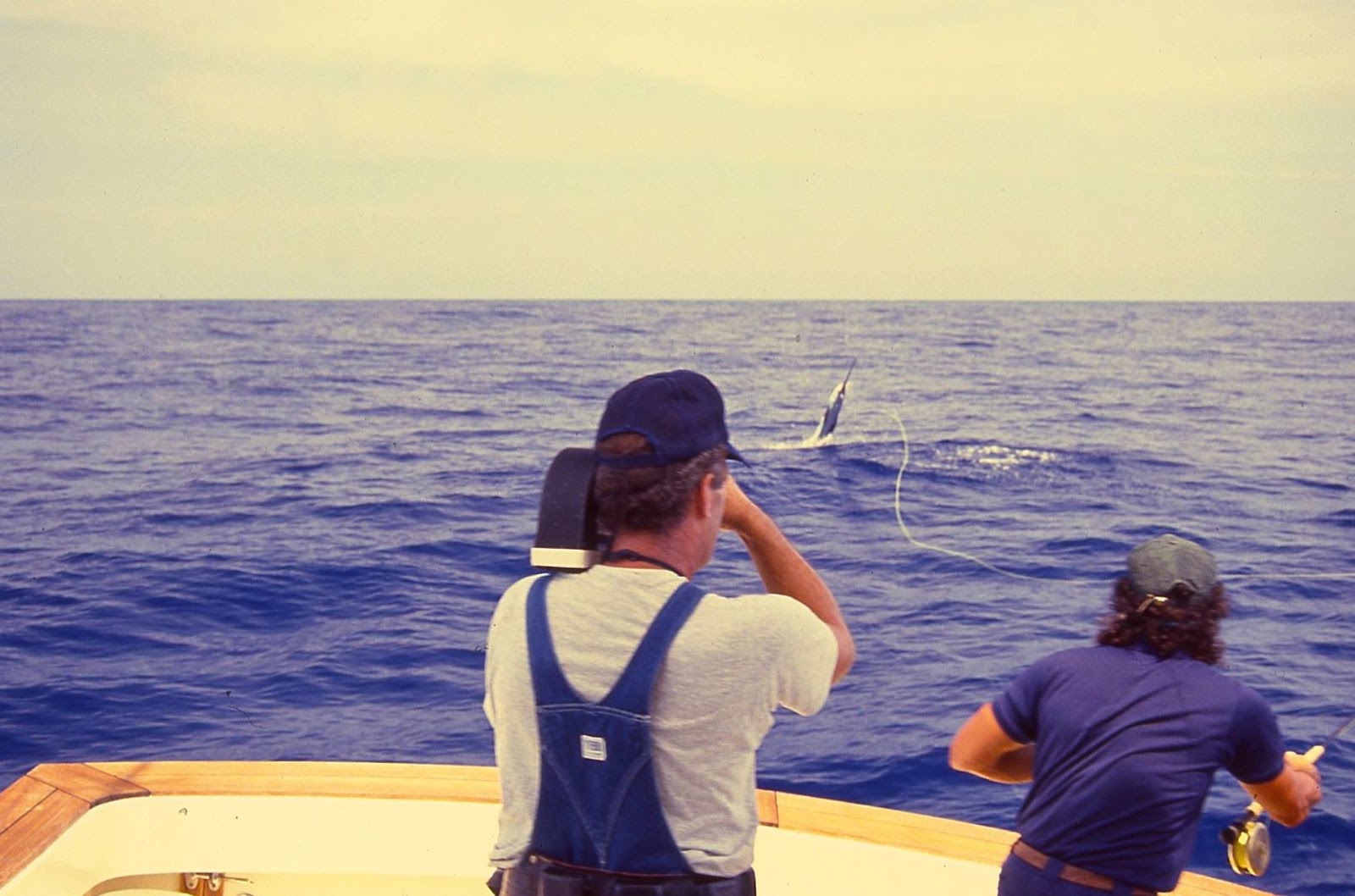 Flip Pallot Tall Tales 2015