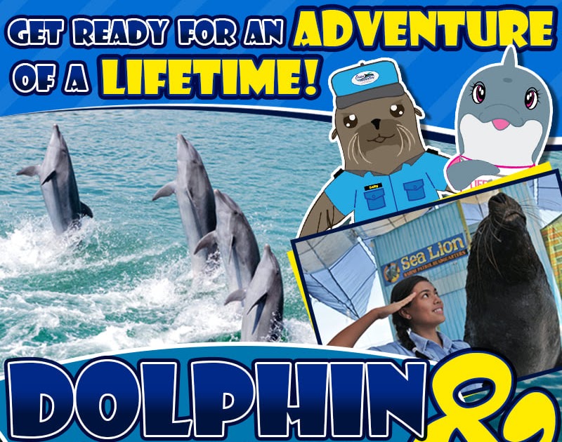 Subic's Ocean Adventure Opens Dolphin and Sea Lion Show Every Weekend ...