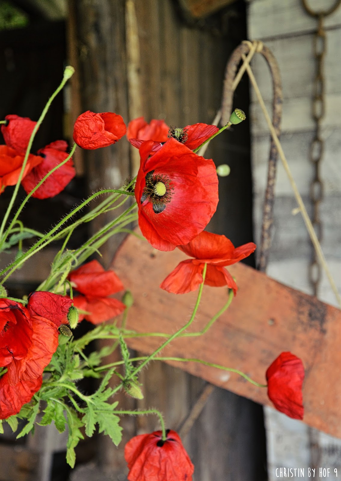 Pin von Christin by Hof 9 auf Offener Garten bei mir. | Offene