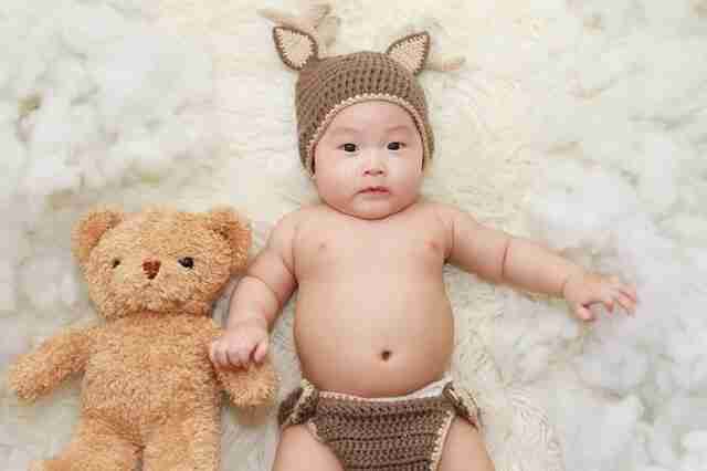 Teddy Bear Images Free Download Teddy Bear Images Free Download