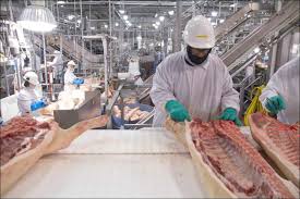 وظائف شاغرة | مطلوب عمال للعمل لدى مصنع مختص باللحوم في عمان