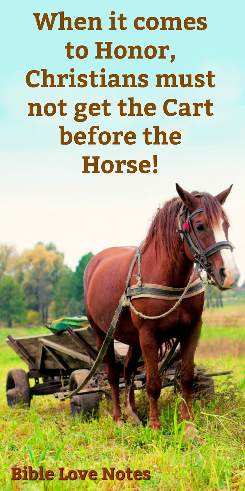 Bible Love Notes We Keep Getting the Cart Before the Horse