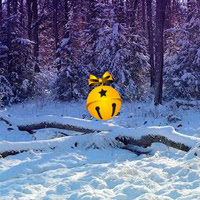 BigEscapeGames-Escape from Snow Christmas Forest