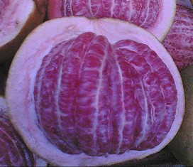 Manfaat dan Khasiat Tanaman Jeruk Bali (Citrus Maxima Merr) Tanaman jeruk bali adalah tanaman buah yang sering kita jumpai disekitar kita Manfaat dan Khasiat Tanaman Jeruk Bali (Citrus Maxima Merr)