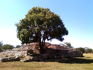 Ruinas Fraccinamiento del Parque Merida