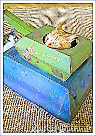 Tank Time with Fudge and Melvyn ©BionicBasil® Caturday Art