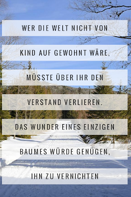 Die 50 besten Zitate zu den Themen Wald und Bäume | Waldzitate | Baumzitate | Naturzitate | Zitate-Wald | Inspirierende-Zitate