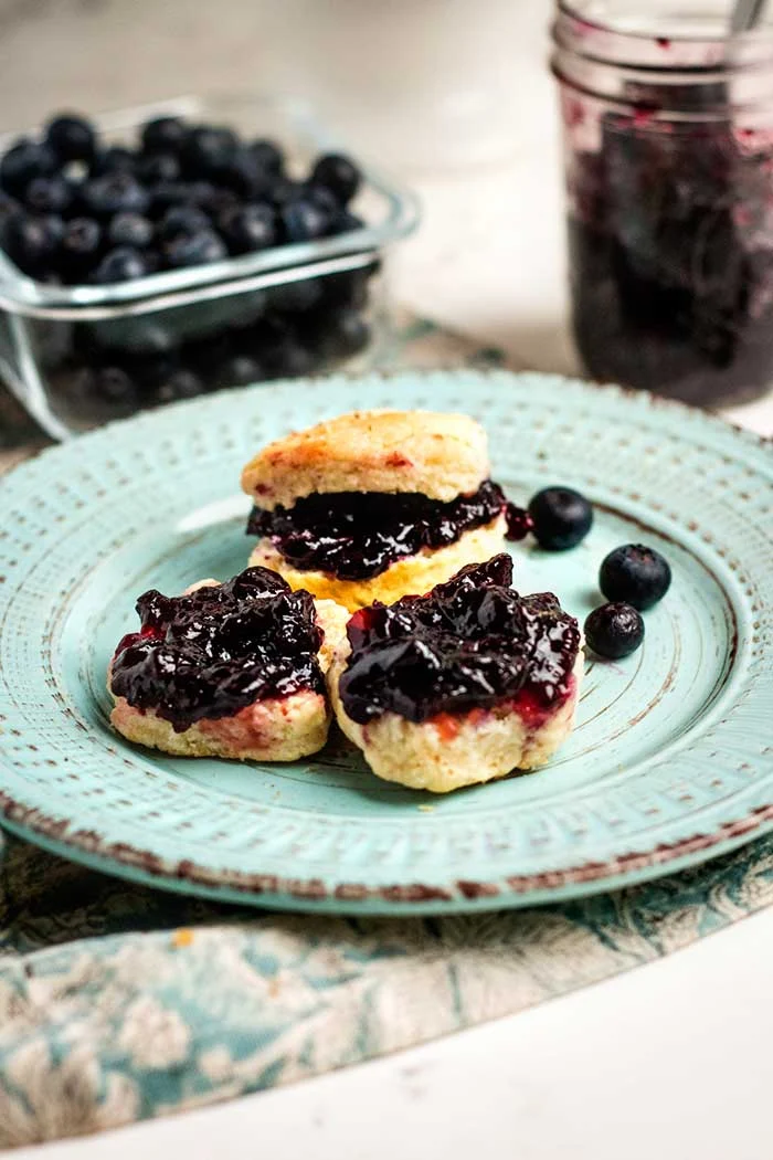 Low Sugar Blueberry Jam for Canning Recipe Homesteading in Ohio