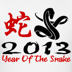 O Ano da Serpente.
