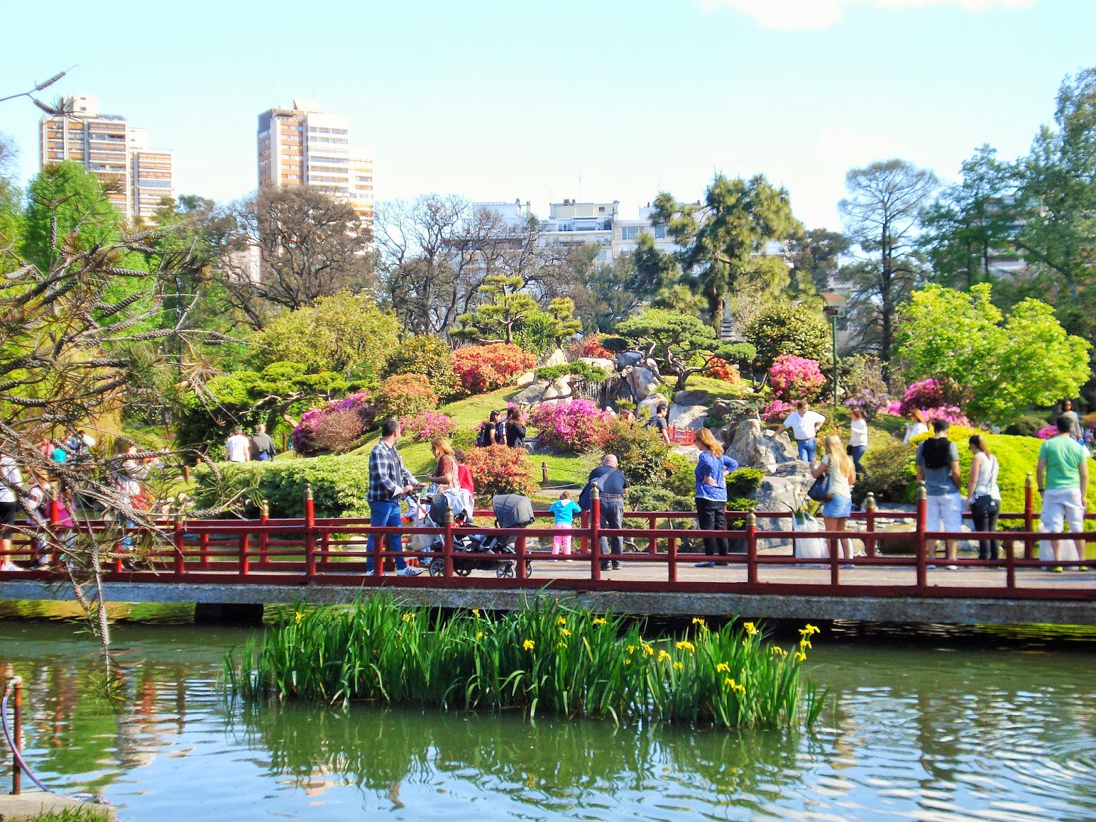 Une année en Argentine: Le jardin japonais de Buenos Aires