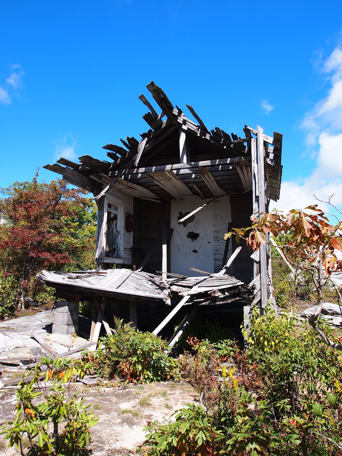 A View From Here Channels State Forest in SWVA
