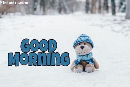 Cute Good Morning Images for Whatsapp | Best 21 Cute Good morning Photo Cute Good Morning Images for Whatsapp | Best 21 Cute Good morning Photo