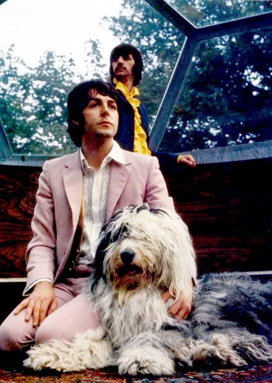 Here, There, and Everywhere: Happy Birthday Paul!!!