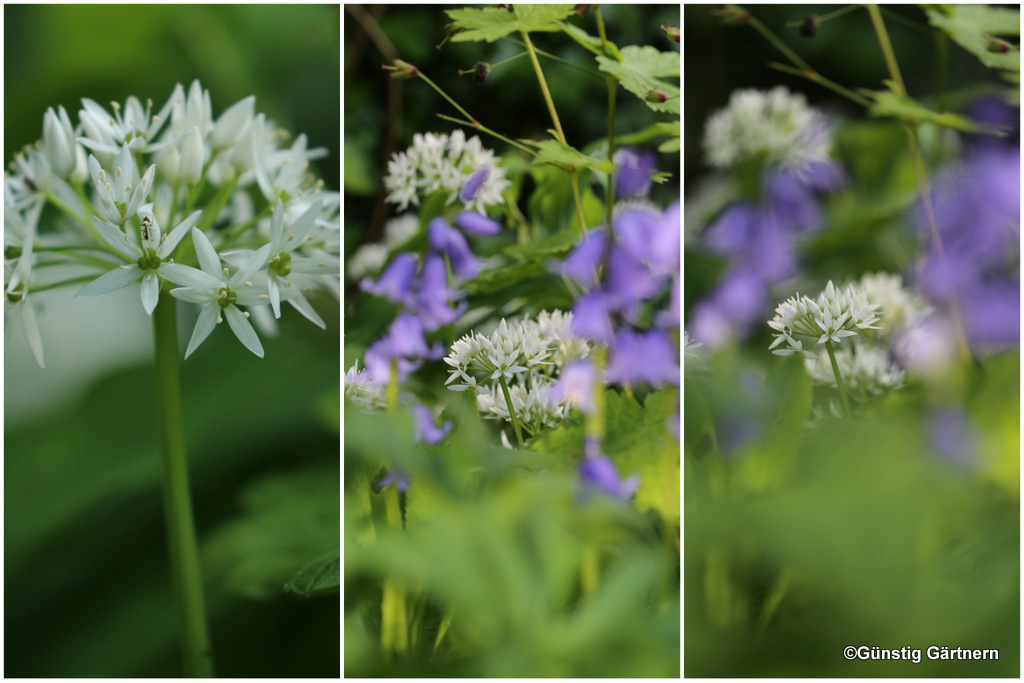 Garten Anders Steine Im Garten Dekoration Und Unvergangliche