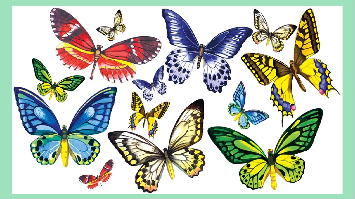 Занятие бабочки средняя группа. Рисование бабочка в средней группе. Рисование бабочка старшая группа. Бабочки для средней группы. Цветные бабочки для детей.