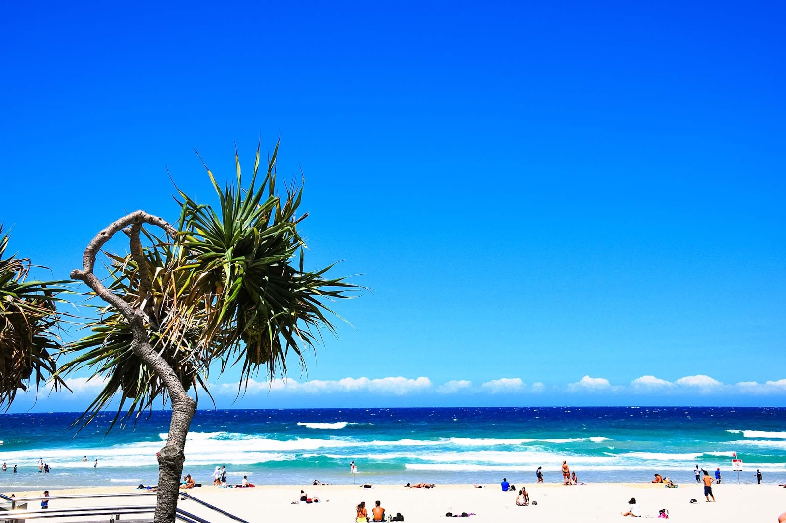 surfers paradise beach