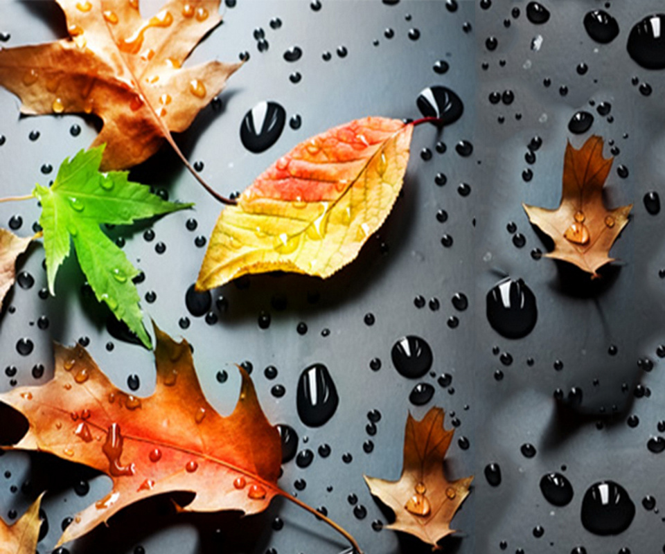 Samsung Galaxy S2 HD wallpaperlar 2012 Facebook