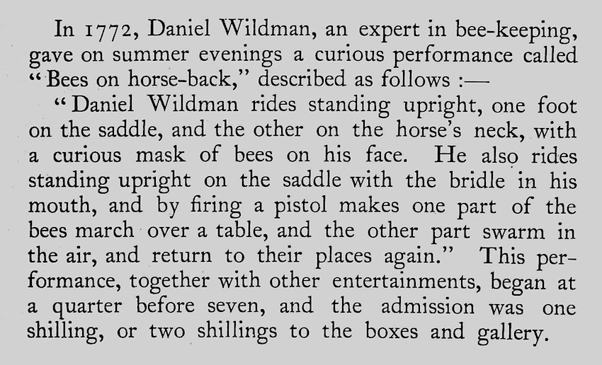 1772 showbiz 1772 showbiz Daniel Wildman, bees on horseback