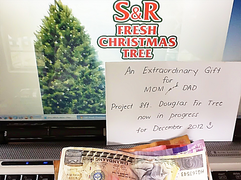 Extraordinary Life Of An Xtraordinarymom An Advance Christmas Present For Our Mom Dad