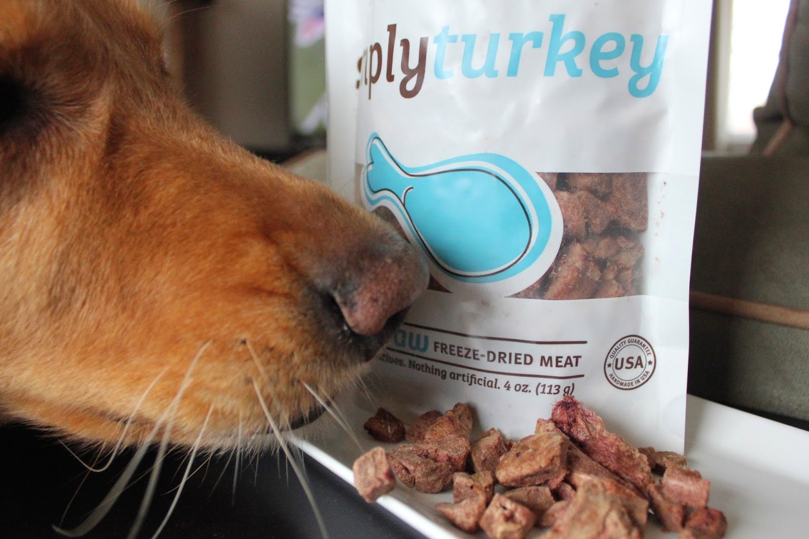 dog testing solos simply turkey treats