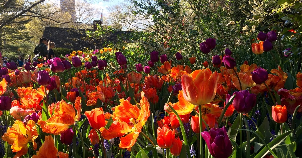 Jardines Que Me Gustan: Los múltiples jardines de Shakespeare