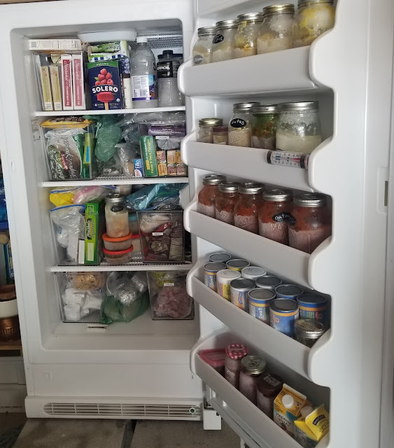 roosje {little rose} Wednesday a freezer is defrosted