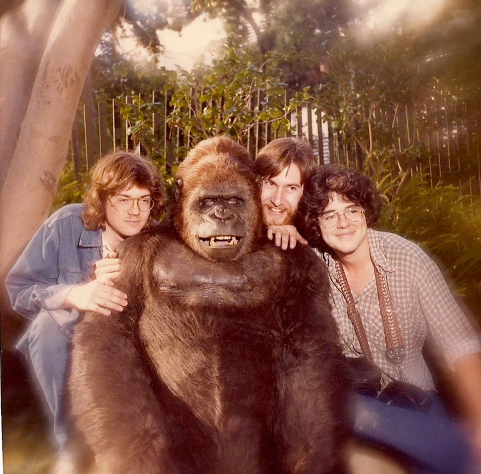 American Tourister Gorilla