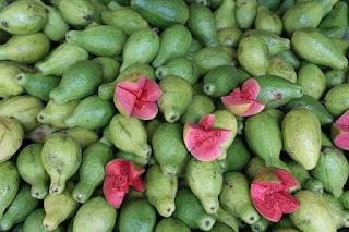 கொய்யா பழத்தின் நன்மைகள்  Guava fruit benefits