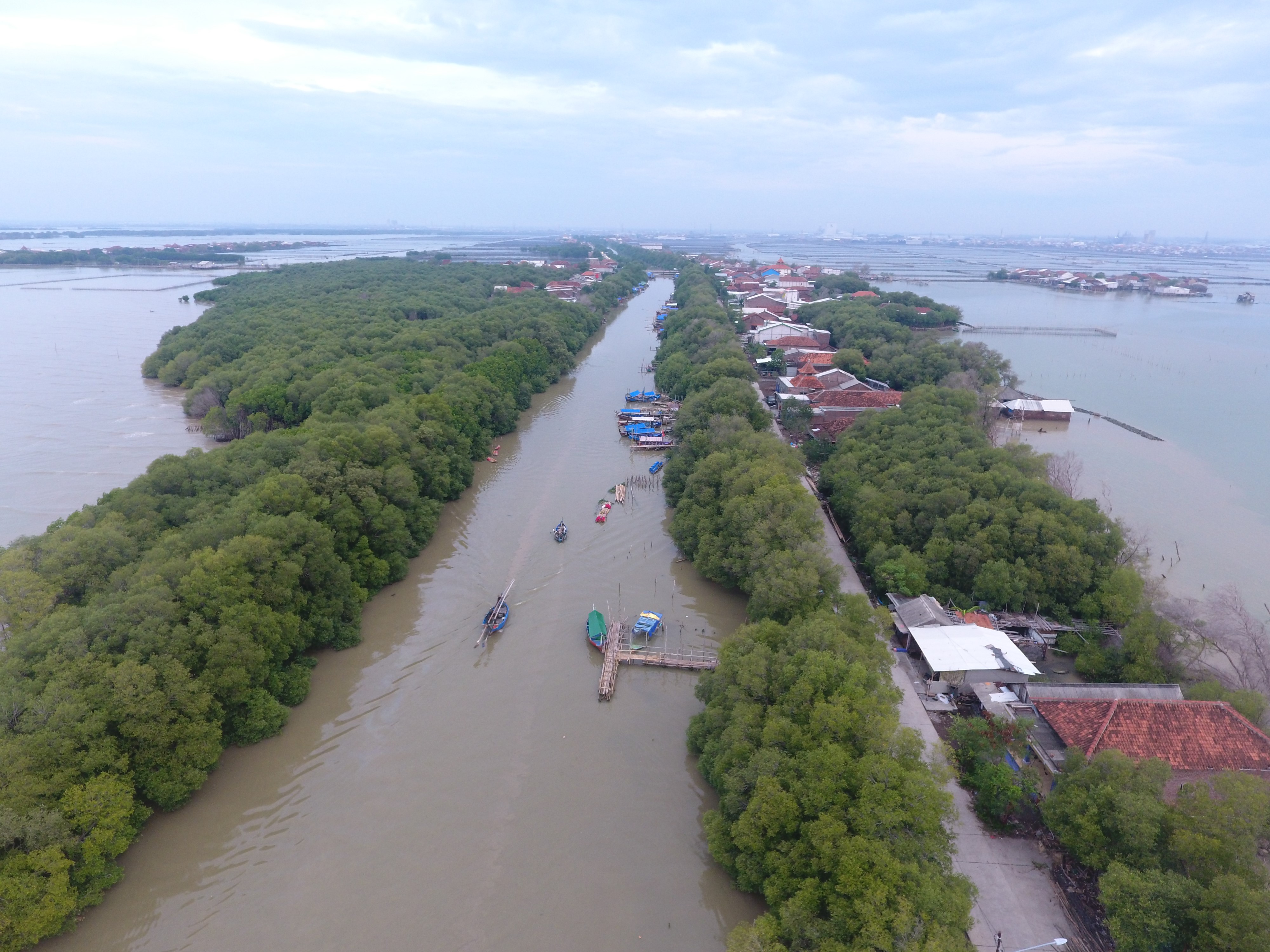 Lokakarya Daring Peningkatan Kapasitas Restorasi Mangrove Pemerintah Daerah dan Komunitas Lokal Benchmark Banyuwangi, Banten dan Demak