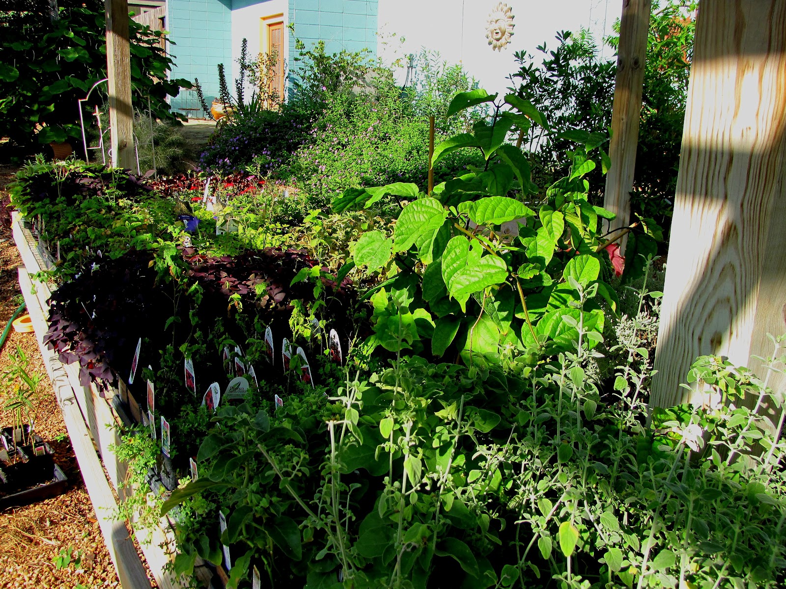 katescabinbirdsanctuaryintexas Going To The Herb Farm To See Some