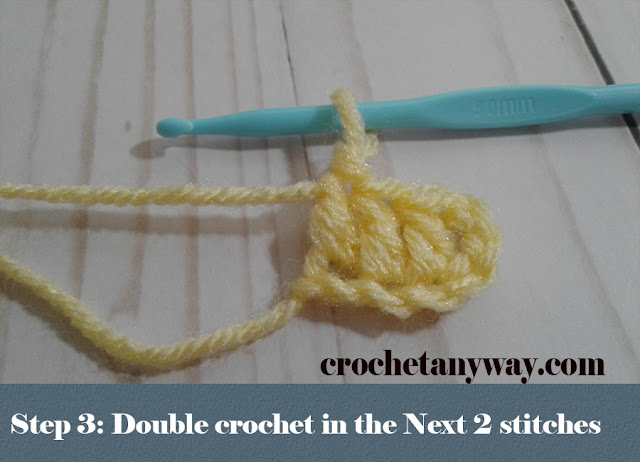 double crochet in the next 2 stitches