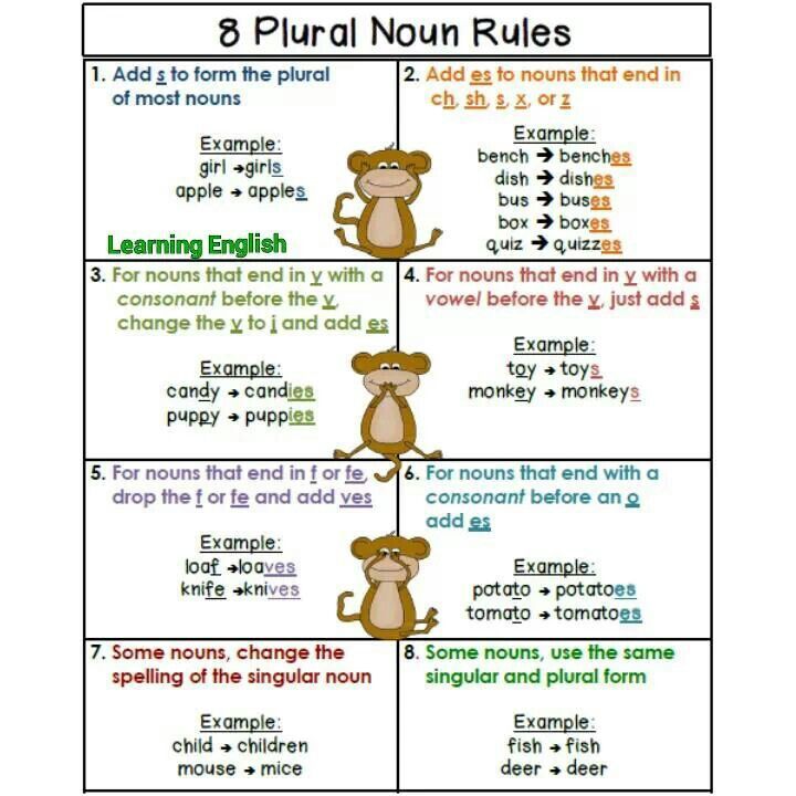 we-speak-english-too-plural-nouns