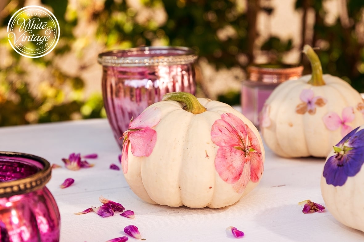 Herbstliche Pizza Mit Kurbis Und Ziegenkase Mann In Der Kuche