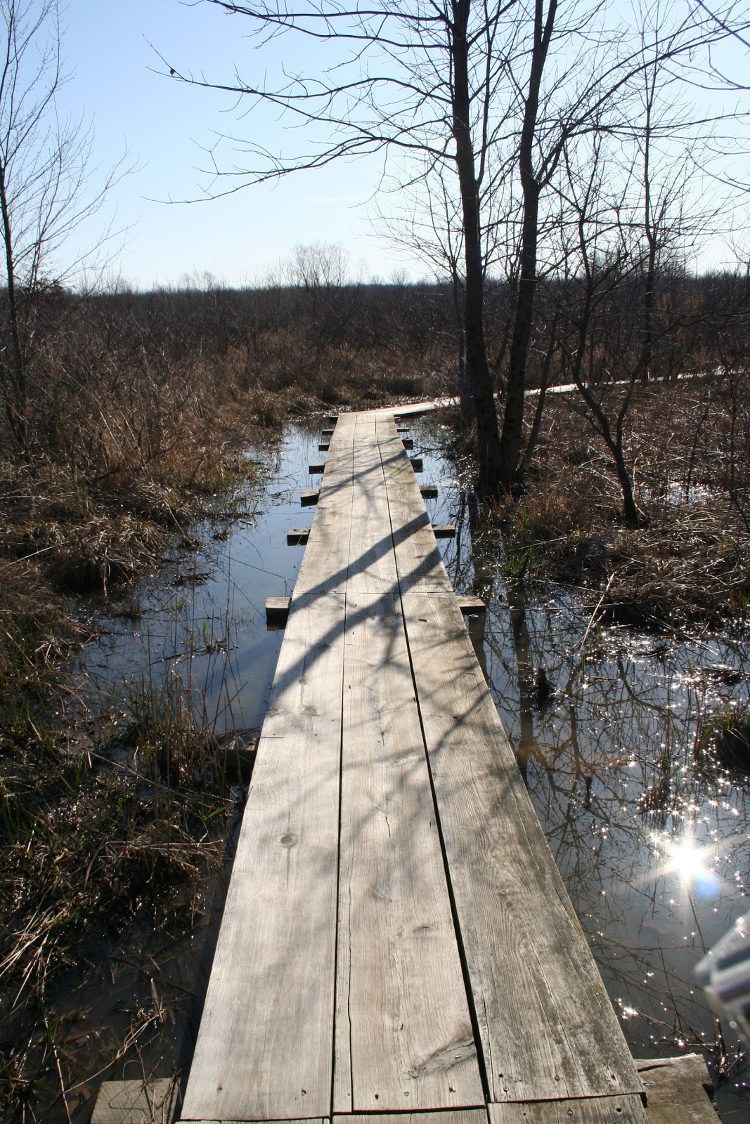 Ellettsville, IN Beanblossom Bottoms Nature Preserve Explore This City