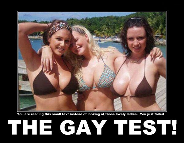 The Official Gay Test 113