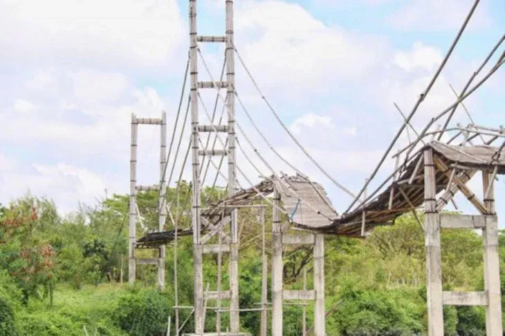 Lihat Nih! Habiskan Anggaran Rp 1,2 Miliar, Jembatan Bambu Mangrove Surabaya Mangkrak dan Hancur