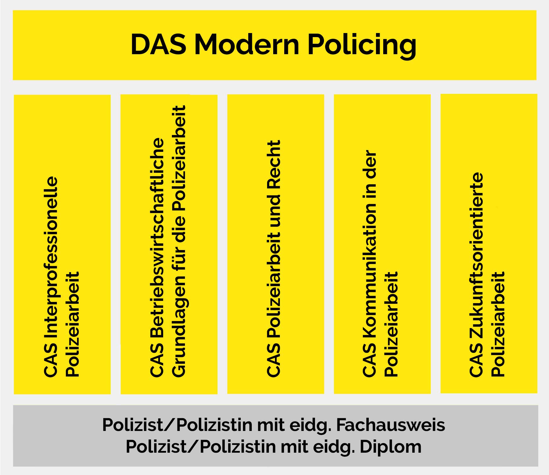 DAS Modern Policing