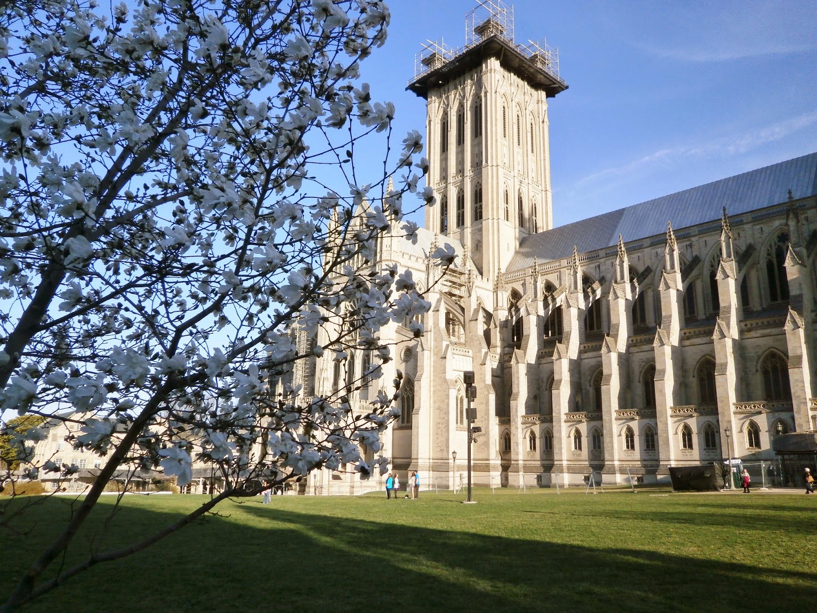 Corfu Blues and Global Views Washington National Cathedral Easter Day