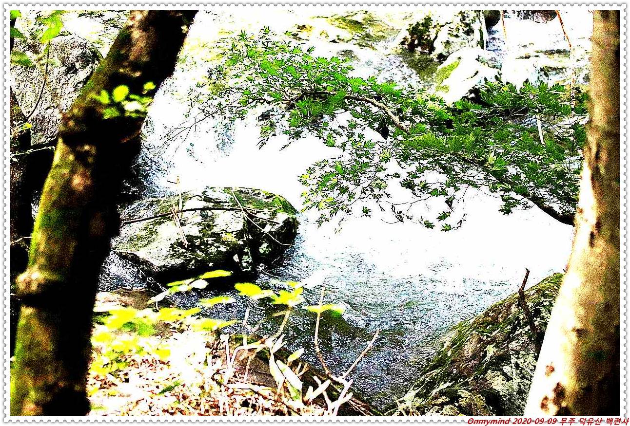 무주 백련사 무주 백련사