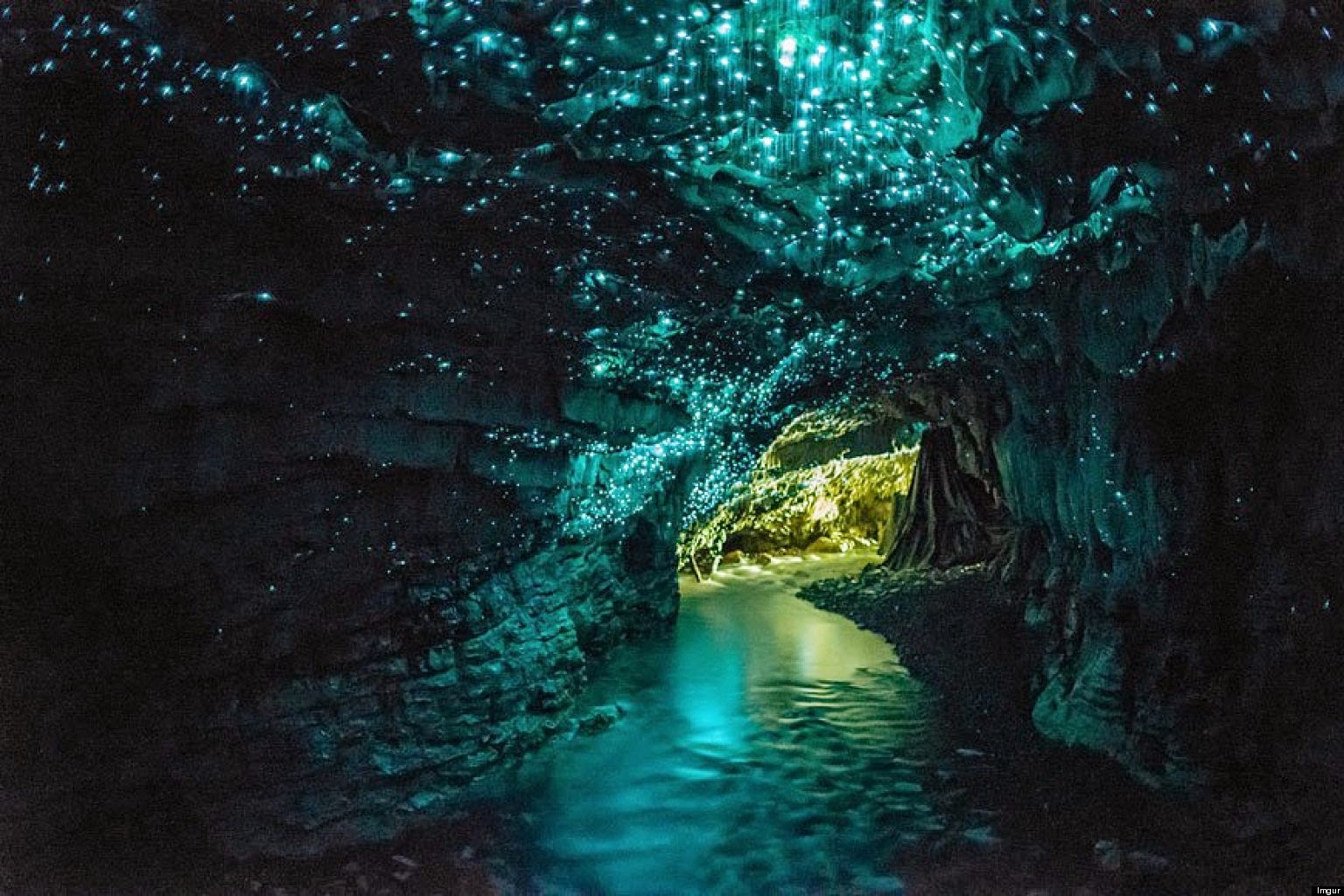 glow worms photography new zealand cave glow worms photography new zealand cave
