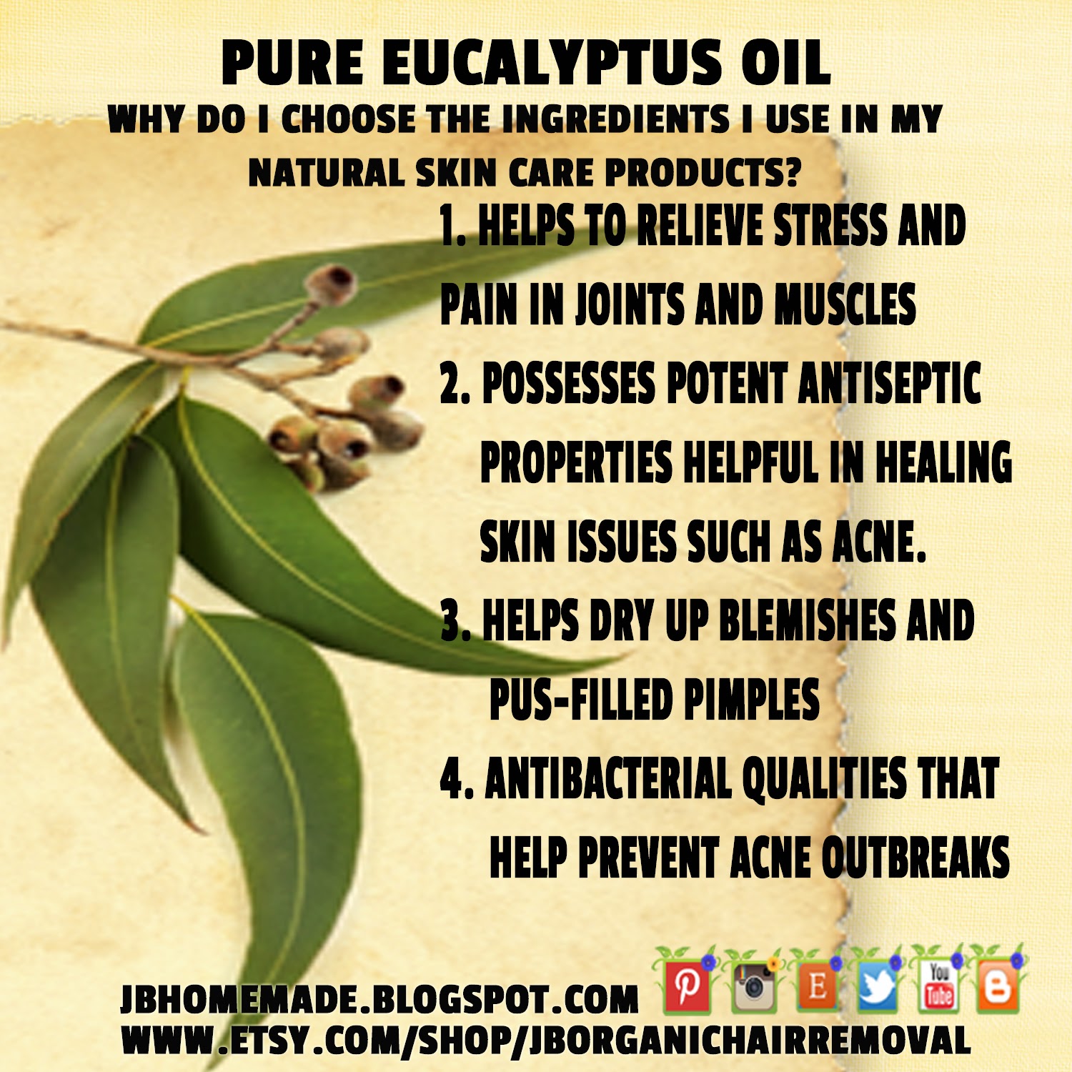 JBHomemade Sugaring and Skincare 27 benefits of Eucalyptus and