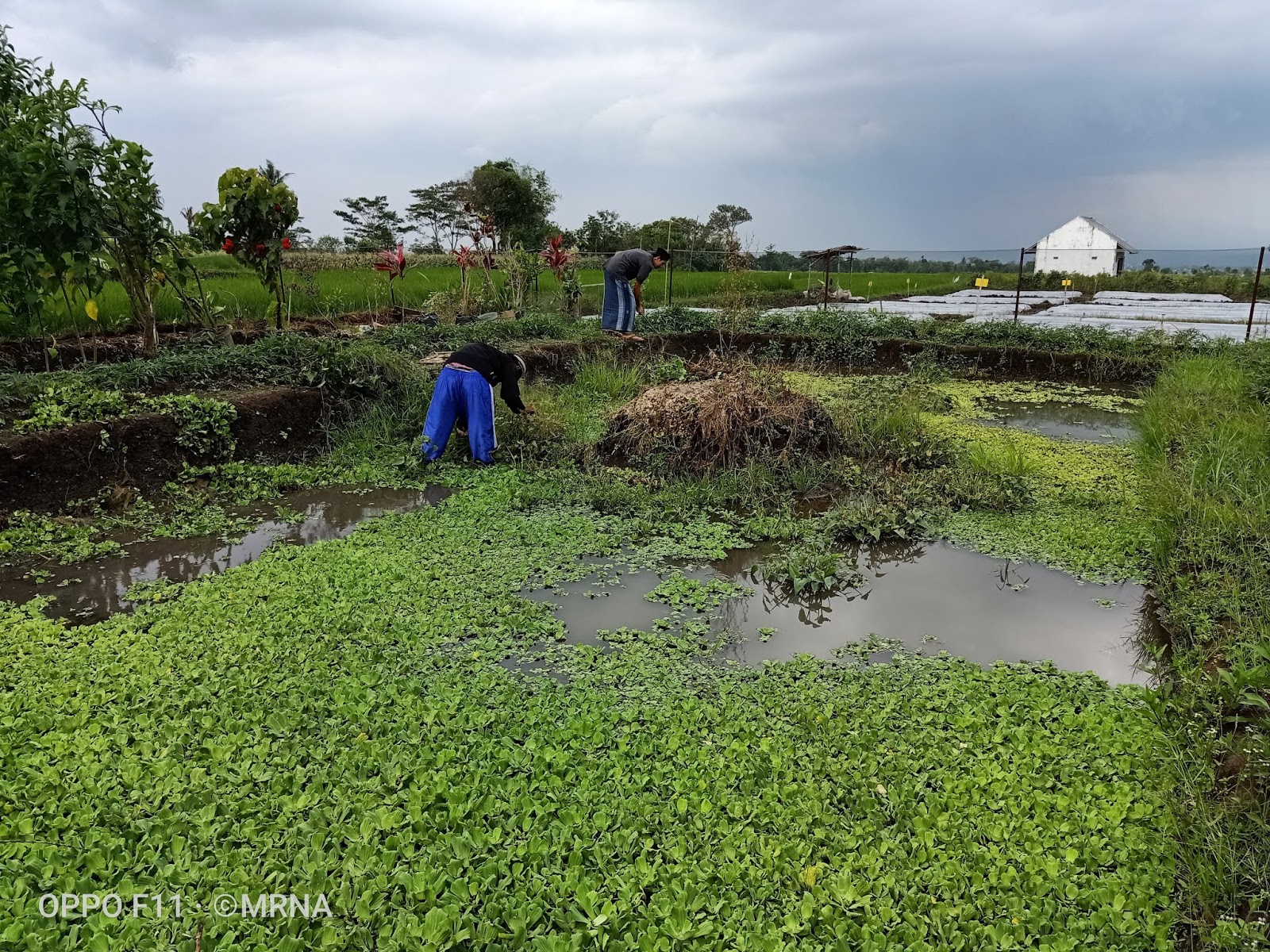 PP Darul Muttaqin Batu Laporan Keuangan Pondok Bulan Maret 2019