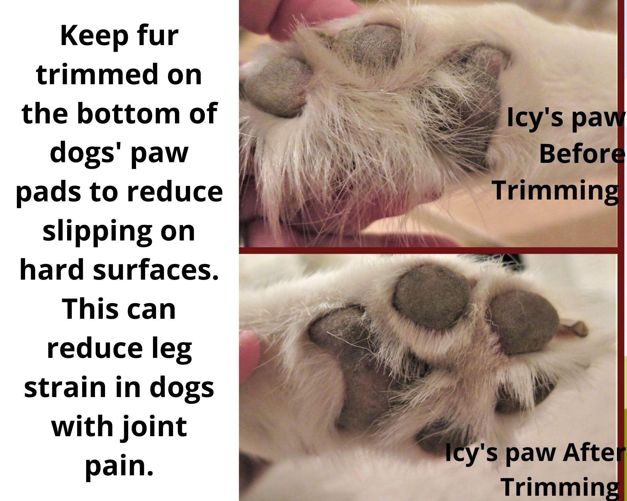 Does Arthritis In Dogs Cause Swelling