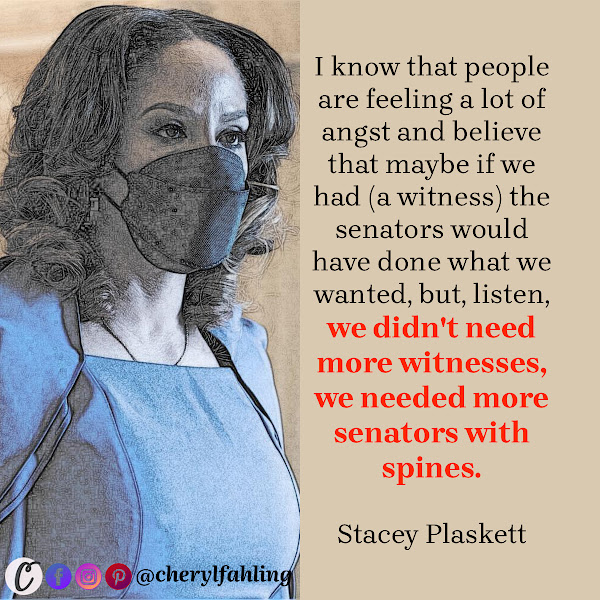 I know that people are feeling a lot of angst and believe that maybe if we had (a witness) the senators would have done what we wanted, but, listen, we didn't need more witnesses, we needed more senators with spines. — Stacey Plaskett