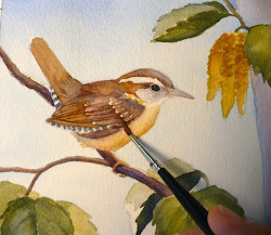 wren watercolor tree carolina birch painting paintings wrens paint birds oil artwork demonstration